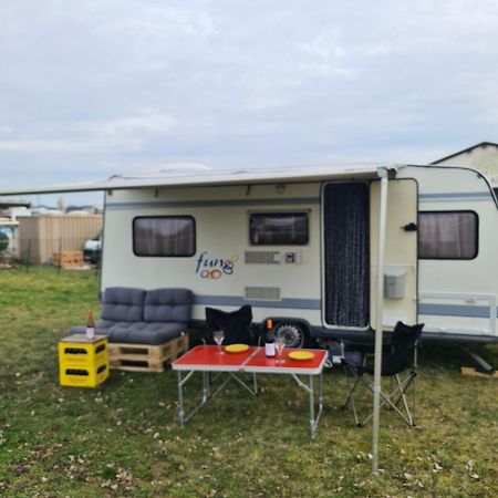 Louise'S Camper Hotel Neusiedl an der Zaya Bagian luar foto